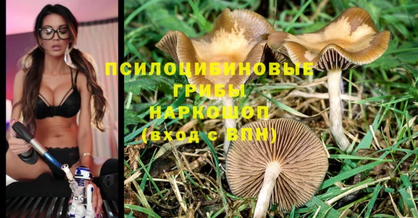 трава Иннополис