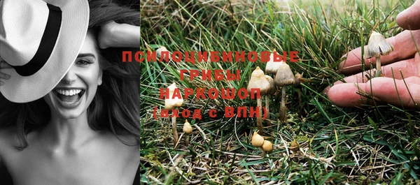 PSILOCYBIN Зерноград