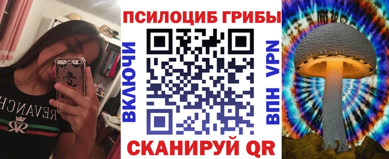 Галлюциногенные грибы Psilocybine cubensis Ивдель